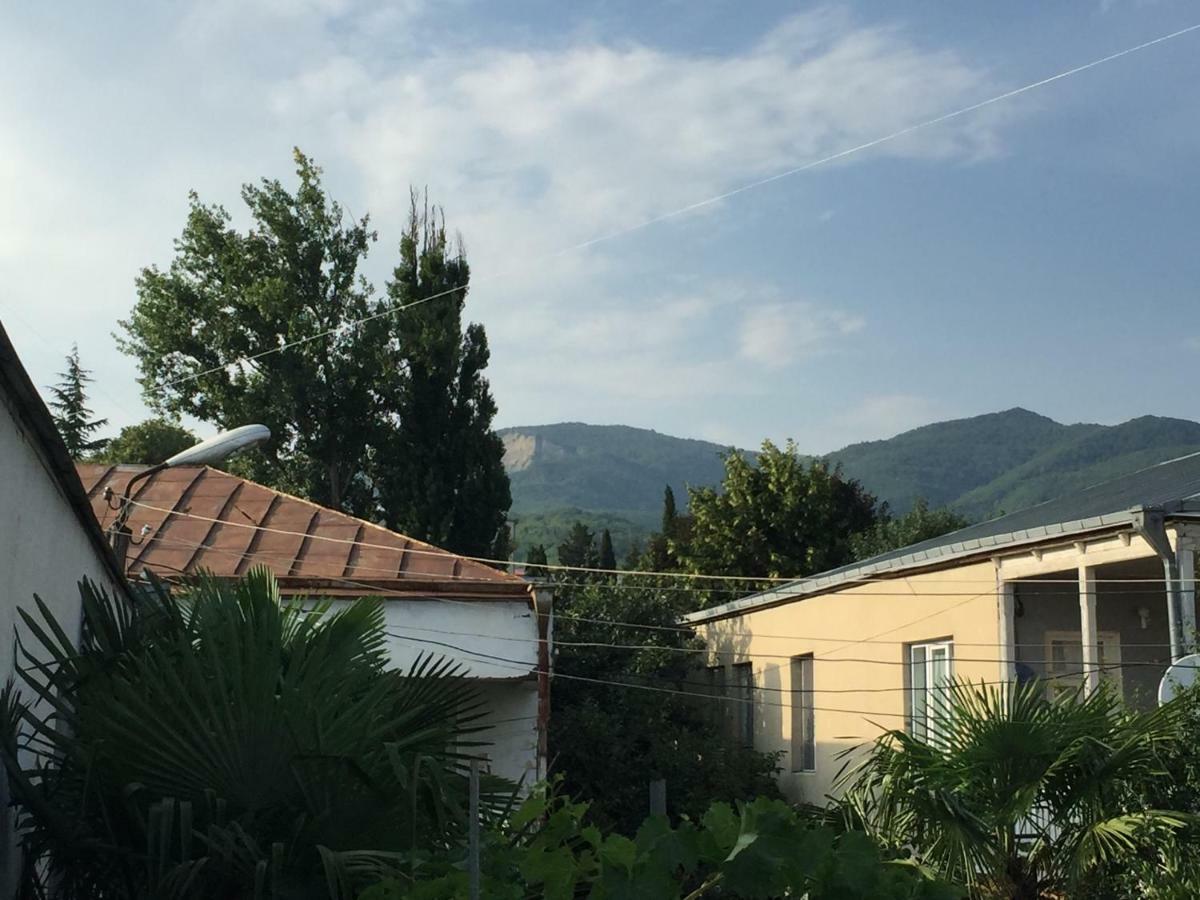 Guesthouse Georgia Sagarejo Екстер'єр фото
